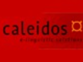 CALEIDOS TRANSLATIONS S.L.